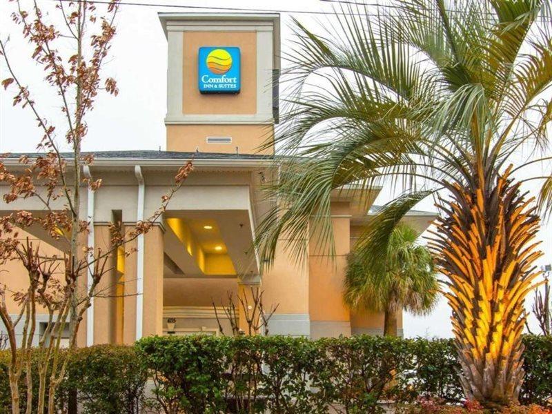 Comfort Inn & Suites Airport Convention Center North Charleston Ngoại thất bức ảnh